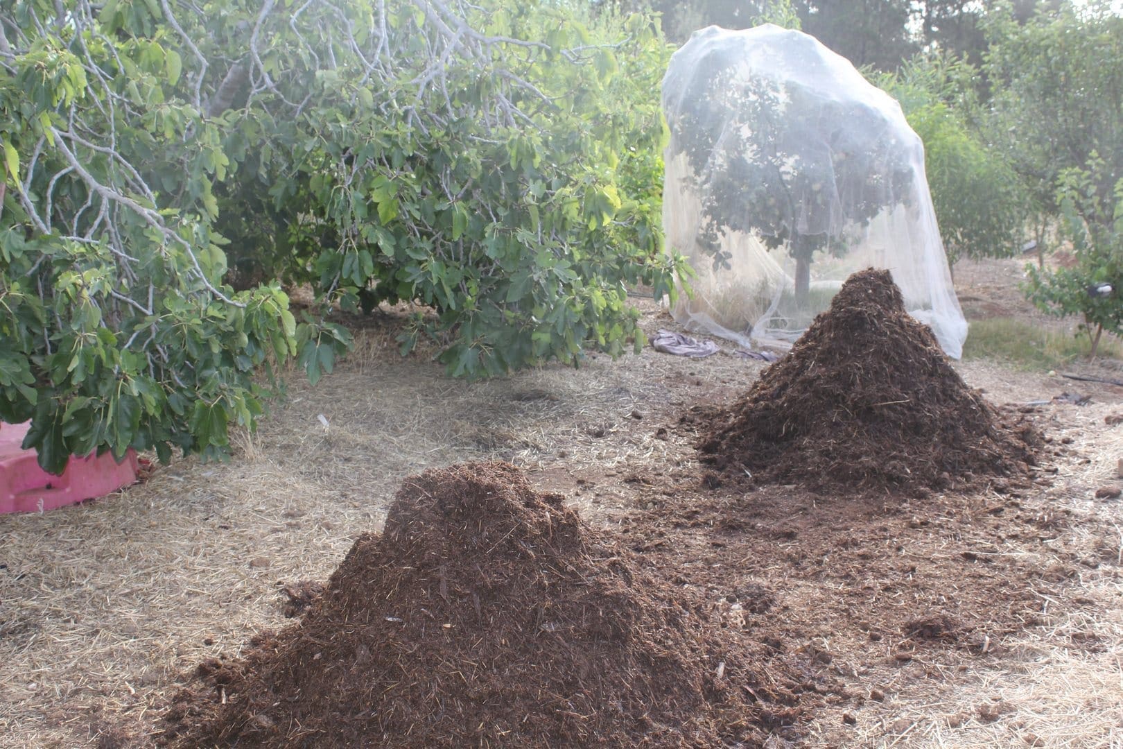 Compsot Adelaide Permacutlure LivingFoodscapes™