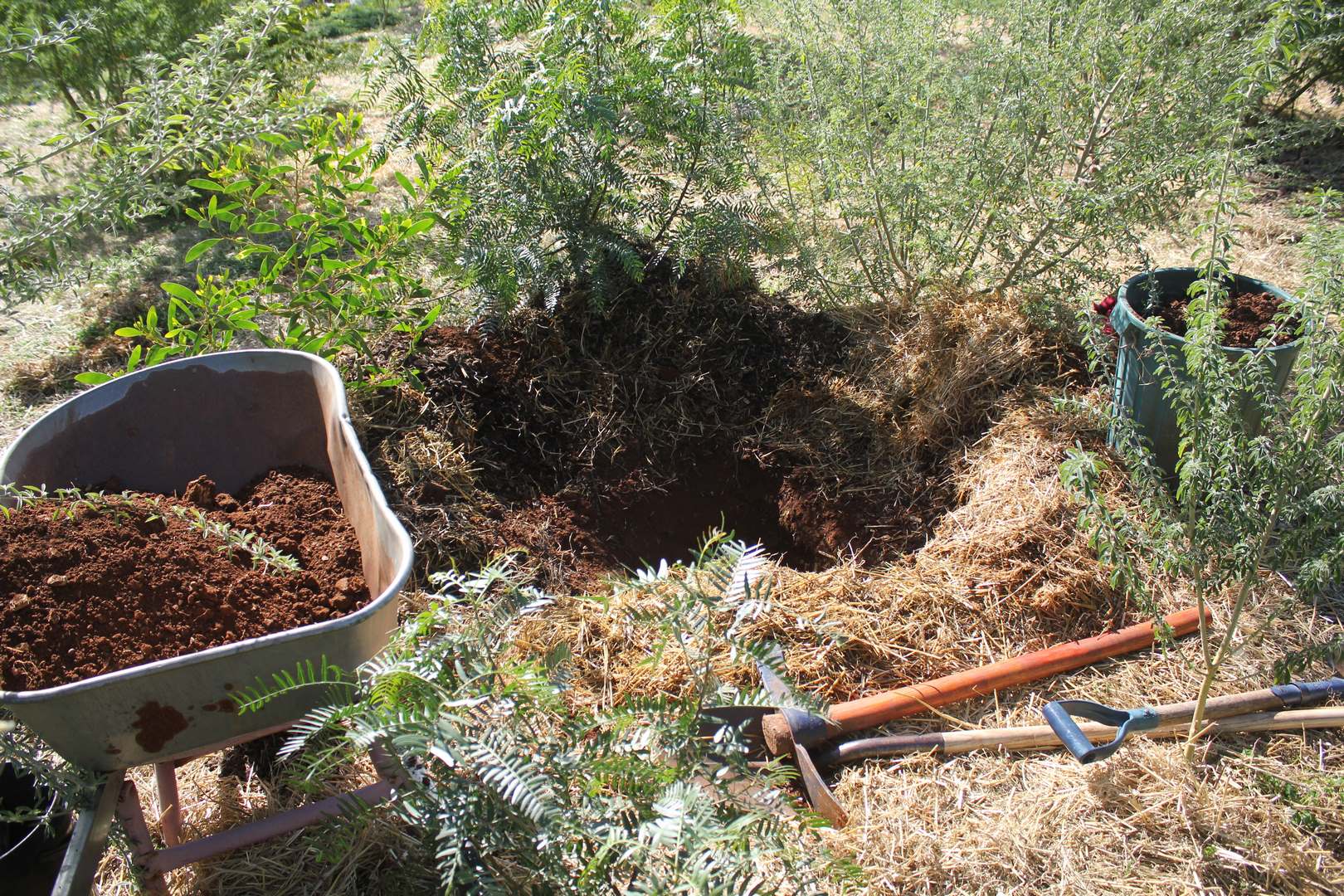 Adelaide Edible Landscaping Permaculture