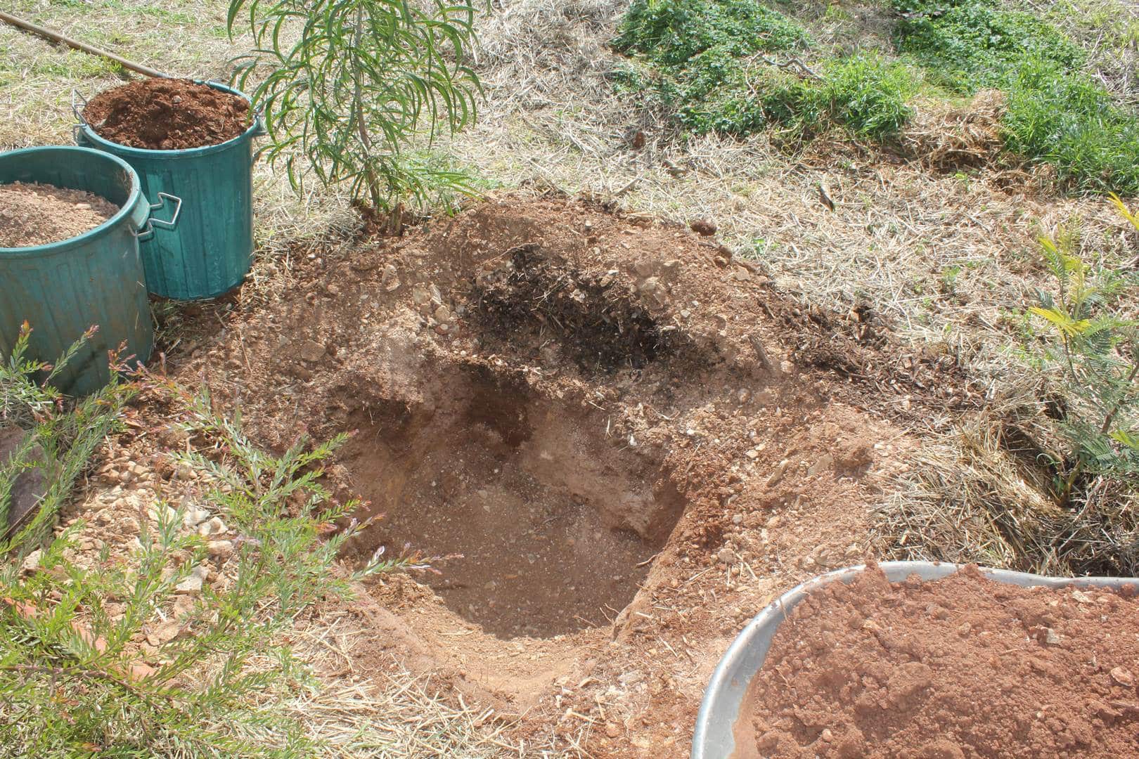 Edible Permaculture Landscaping Adelaide