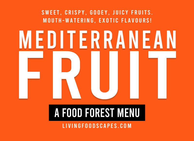 Permaculture Fruits Mediterranean E-Book LivingFoodscapes Orange