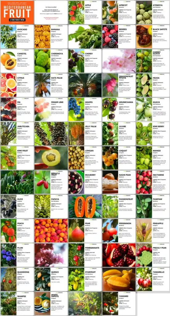 Mediterranean Fruits E-Book Grow LivingFoodscapes™
