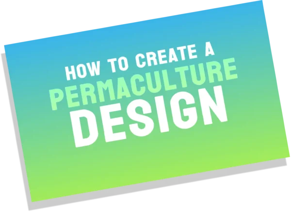 How to Create a Permaculture Design