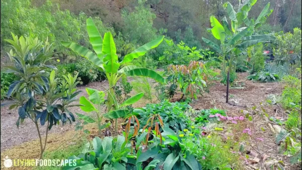 How to Create a Permaculture Design - Image 11
