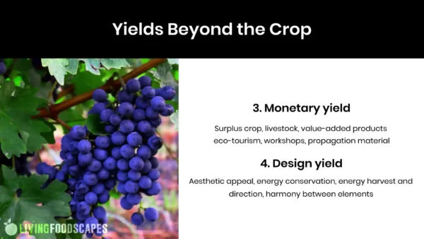How to Create a Permaculture Design - Image 8